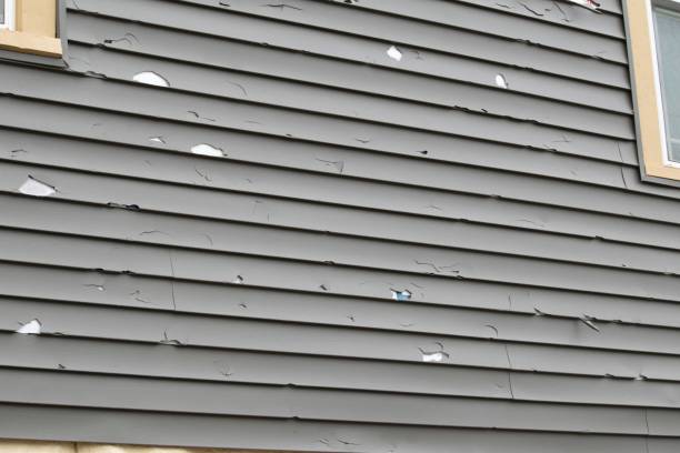  Deville, AL Siding Installation Pros